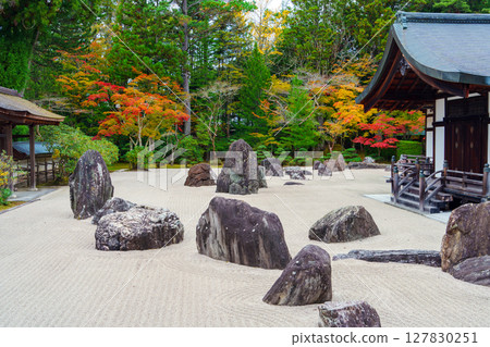Mount Koya: Autumn at Kongobu-ji Temple's Banryu Garden 127830251