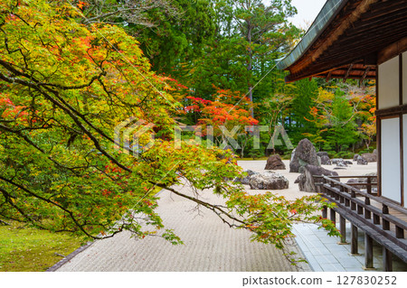 Mount Koya: Autumn at Kongobu-ji Temple's Banryu Garden 127830252