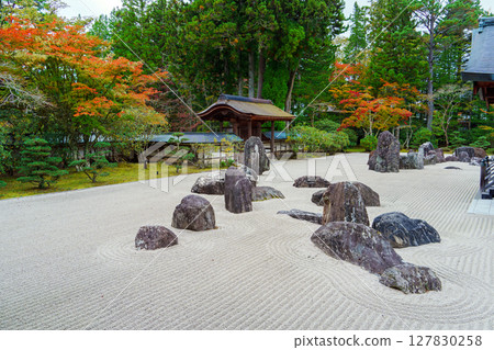 高野山：金剛峰寺磐龍庭園的秋天 127830258