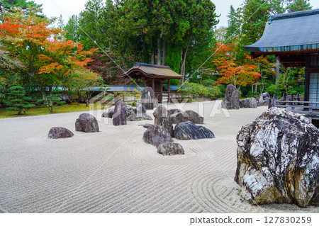 高野山:金剛峰寺磐龍庭園的秋天 高野山:金剛峰寺磐龍庭園的秋天 127830259