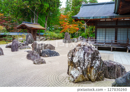 高野山：金剛峰寺磐龍庭園的秋天 127830260