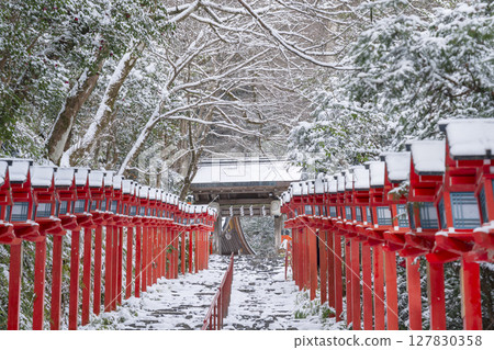 Winter in Kyoto: Kifune Shrine: A beautiful approach lined with Kasuga lanterns 127830358