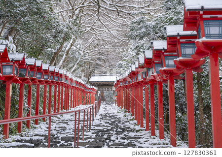 Winter in Kyoto: Kifune Shrine: A beautiful approach lined with Kasuga lanterns 127830361