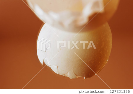 Detail of  chicken  egg shell 127831356