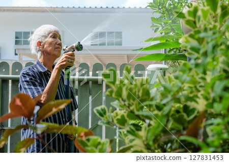 Senior asian woman watering the garden Senior asian woman watering the garden 127831453
