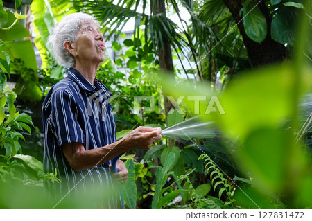 Senior asian woman watering the garden Senior asian woman watering the garden 127831472