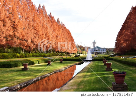 French-style garden and Metasequoia trees in autumn at Kanagawa Prefectural Sagamihara Park French-style garden and Metasequoia trees in autumn at Kanagawa Prefectural Sagamihara Park 127831487