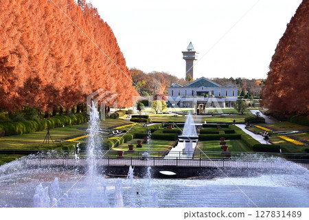 神奈川縣立相模原公園的秋季法式花園和水杉樹 127831489