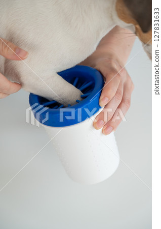 The owner washes the dog's paws in a special device.  127831633