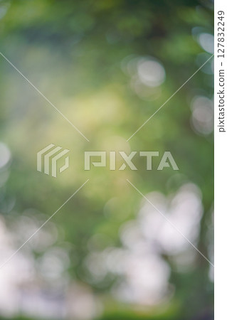 bokeh blur background light through trees bokeh effect bokeh blur background light through trees bokeh effect 127832249