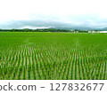 鄉村景觀 127832677