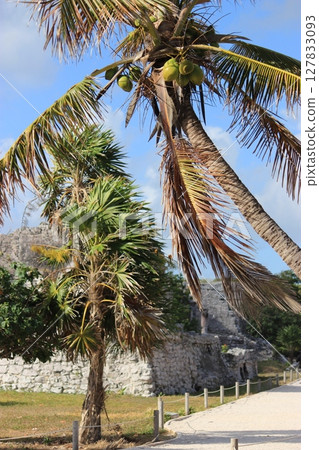 Mexico! The Tulum ruins, with their beautiful contrast with the Caribbean Sea, and Gran Cenote, with its beautiful curtain of light, in Cancun 127833093