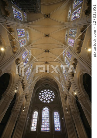 沙特爾大教堂內部,聯合國教科文組織世界遺產 沙特爾大教堂內部,聯合國教科文組織世界遺產 127833951