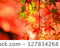 Bright autumn leaves 127834268