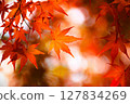 Bright autumn leaves 127834269