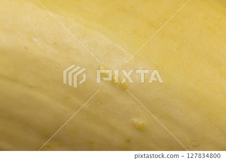 ripe white squash on the kitchen table before cooking ripe white squash on the kitchen table before cooking 127834800