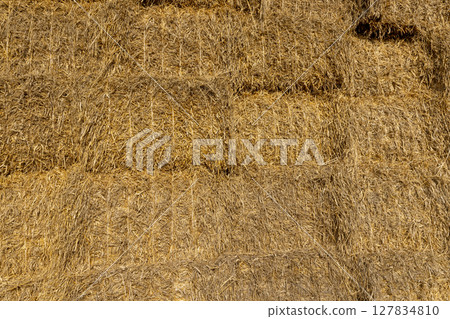 rectangular stacks of straw in the field , a lot of stack of wheat straw after grain harvest rectangular stacks of straw in the field , a lot of stack of wheat straw after grain harvest 127834810