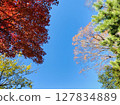 Autumn sky Autumn sky 127834889