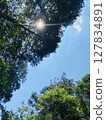 The Sacred Sky The Sacred Sky 127834891