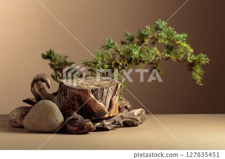 Composition with natural wooden snags, stones and juniper branches. Composition with natural wooden snags, stones and juniper branches. 127835451