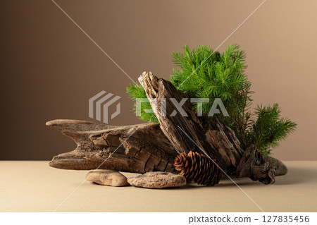 Abstract nature scene with a composition of spruce branches, stones, and dry snags. Abstract nature scene with a composition of spruce branches, stones, and dry snags. 127835456