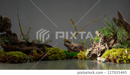 Northern natural composition with lichen, moss, pine branches and driftwood. 127835465