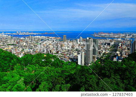 [兵庫縣]從神戶布引索道看到的神戶市 127837403