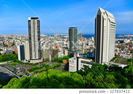 [Hyogo Prefecture] Kobe city seen from Kobe Nunobiki Ropeway 127837412