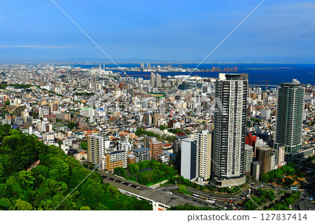 [Hyogo Prefecture] Kobe city seen from Kobe Nunobiki Ropeway 127837414
