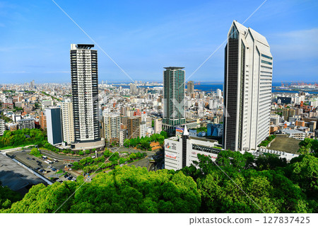 [Hyogo Prefecture] Kobe city seen from Kobe Nunobiki Herb Garden 127837425