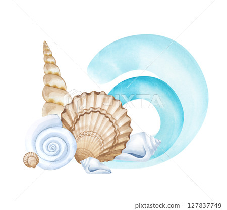 A watercolor composition with different seashells and a stylized turquoise sea wave. The illustration is isolated on a white background. A template for postcards, greetings, and invitations in a A watercolor composition with different seashells and a stylized turquoise sea wave. The illustration is isolated on a white background. A template for postcards, greetings, and invitations in a 127837749