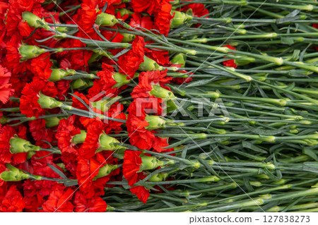 Red carnation flowers in the flower market, closeup of photo Red carnation flowers in the flower market, closeup of photo 127838273