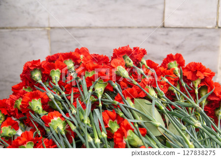 Red carnation flowers on a white marble background with copy space. Red carnation flowers on a white marble background with copy space. 127838275