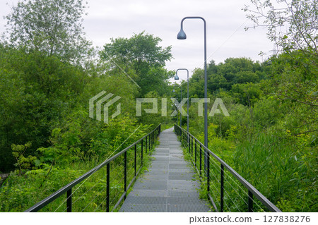 walkways in river valley in the park in the summer. 127838276