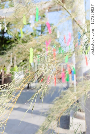Tanabata paper strips swaying in the wind on bamboo leaves and in the summer sunshine Tanabata paper strips swaying in the wind on bamboo leaves and in the summer sunshine 127839027