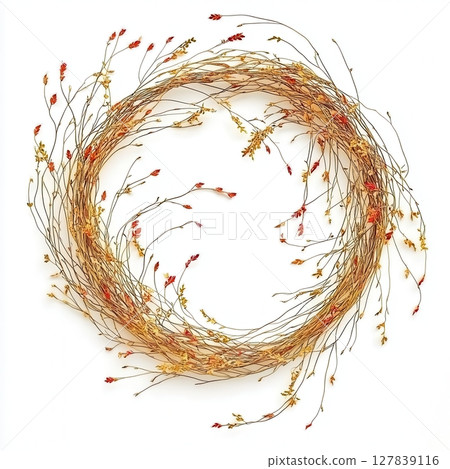 Dried Floral Wreath Autumn Colors Natural Design Elegant Botanical Arrangement White Background red 127839116