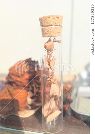 Dried flowers trapped in a test tube through a window 127839359