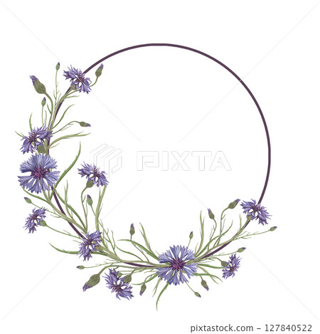 Watercolor frame of cornflower flower. Hand-drawn clip-art on white background. Delicate realistic images of Medicinal herbs for packaging, textiles, printing, holiday cards, wedding, menu 127840522
