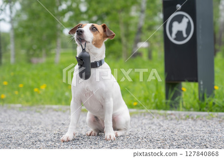 Adorable Dog with Waste Bag Ready for a Walk.  127840868