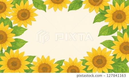 Hand-drawn illustration of a summer sunflower field and blue sky (with text space) 127841163