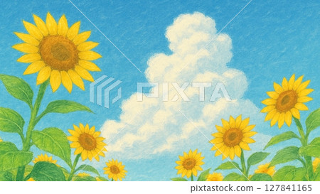 Hand-drawn illustration of a summer sunflower field and blue sky (with text space) 127841165