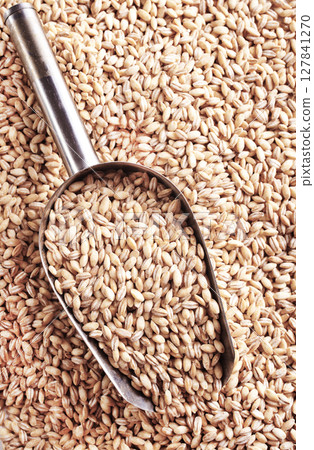 grain on the table, wheat grain 127841270