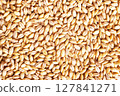 grain on the table, wheat grain 127841271