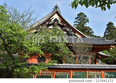 Yamashina Bishamon-do: Main hall from the side (Yamashina Ward, Kyoto City) Yamashina Bishamon-do: Main hall from the side (Yamashina Ward, Kyoto City) 127841272