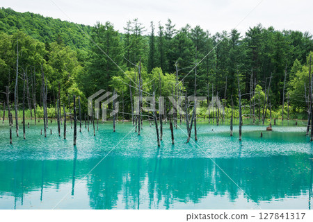 Biei Blue Pond Biei Blue Pond 127841317