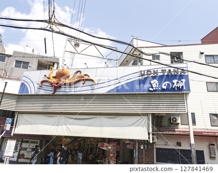 Fish shelf entrance 127841469