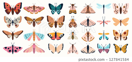 Big set of various colorful butterflies, moths and dragonflies. Cute flying insects collection. Trendy modern vector illustration isolated on white background, hand drawn, flat design Big set of various colorful butterflies, moths and dragonflies. Cute flying insects collection. Trendy modern vector illustration isolated on white background, hand drawn, flat design 127841584