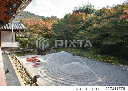 秋天的圓德院:從方丈室眺望南庭(京都市東山區) 秋天的圓德院:從方丈室眺望南庭(京都市東山區) 127841776