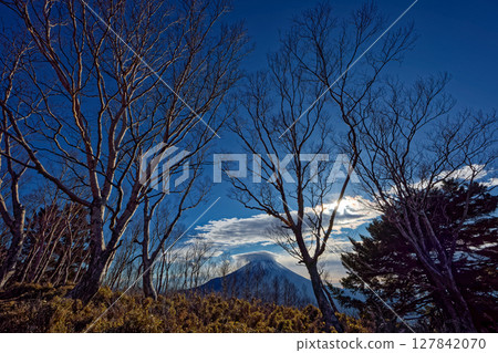 清晨從毛無山脊的高台上看到的富士山 127842070