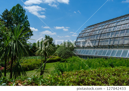 Dome and blue sky Dome and blue sky 127842433